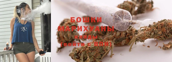 молекула духа Горнозаводск