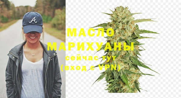 стаф Горняк